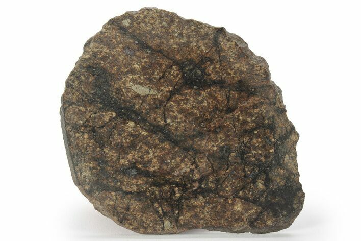 Chondrite Meteorite ( g) Slice with Shock Veins - Morocco #227975
